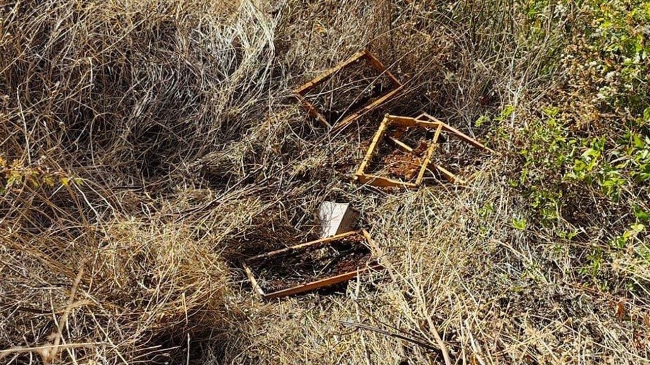 Bağ evine gelen ayılar, 10 arı kovanını parçaladı