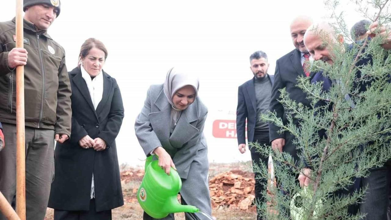 Mahinur Özdemir Göktaş deprem şehitleri için fidan dikti