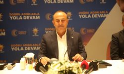 Çavuşoğlu: Karşımızda yerli bir muhalefet yok