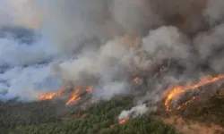 PKK talimatıyla orman yakan 6 kişi yakalandı