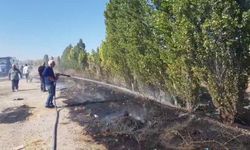 Alaca'da çıkan anız yangını korkuttu