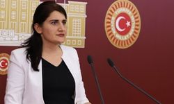 HDP’li Güzel’in yargılanmasına devam edildi