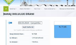 Meteoroloji uyardı: Adana olağanüstü kurak il oldu