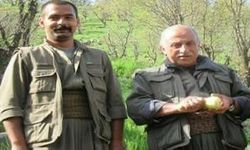 PKK'nın İran Gençlik Koordinasyon sözde sorumlusu öldürüldü