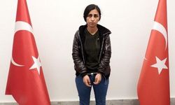 PKK'ya üst düzey darbe! Sözde sorumlusu yakalandı