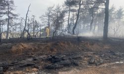Yumaklı: Orman yangını kontrol altına alındı