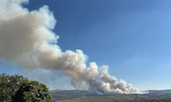 Banaz'daki yangına müdahale ediliyor