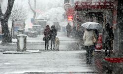 Meteoroloji Iğdır, Kars ve Ağrı’yı uyardı