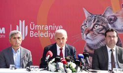 Yıldırım: 151 köpek ve 144 kedimiz çalındı