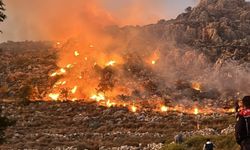 Marmaris'te yaşanan yangın kontrol altına alındı