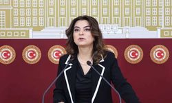 DEM Partili Koçyiğit’ten 10. Yargı Paketi açıklaması