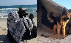 Gazze'nin sessiz tanığı: Köpekler, Gazzelilerden daha değerli!