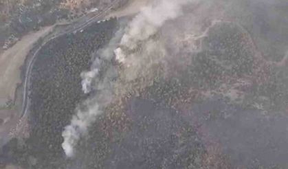 300 hektarlık alanda yangın: Müdahale devam ediyor