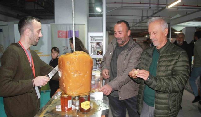 Ordu'da baldan döner yaptılar