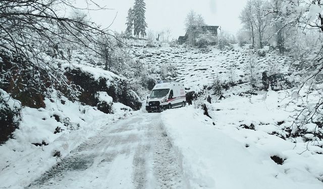 Artvin’de tüm okullar tatil edildi