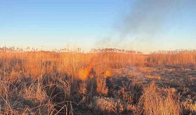 Eber Gölü’nü yakmaya çalışanlara 3 milyon TL ceza