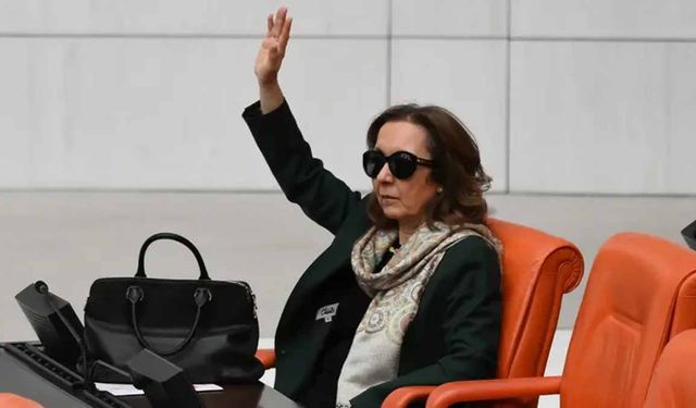 CHP listesinden seçilip AK Parti’ye geçen Serap Yazıcı Anayasa Komisyonu Başkanı oldu