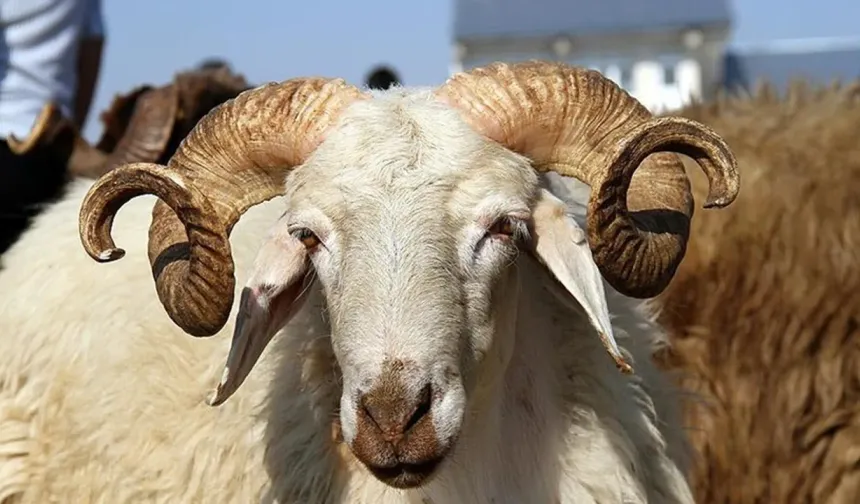 Kurban Bayramı tatili uzatılmayacak