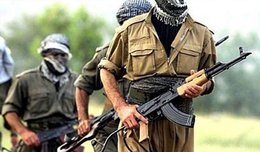 Gergerlioğlu: Silah bırakma sembolik törenle başlayacak