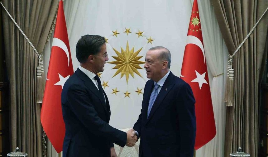 Erdoğan, Rutte ile görüştü