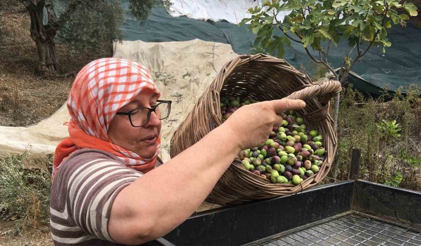 Günlük 3 bin liraya çalışacak işçi bulunamıyor