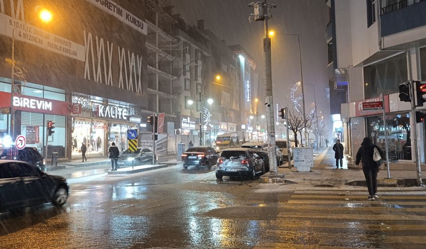 Van, kar yağışı nedeniyle beyaza büründü