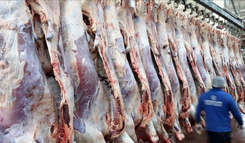 Türkiye, Avrupa’da en az et tüketen ülke oldu